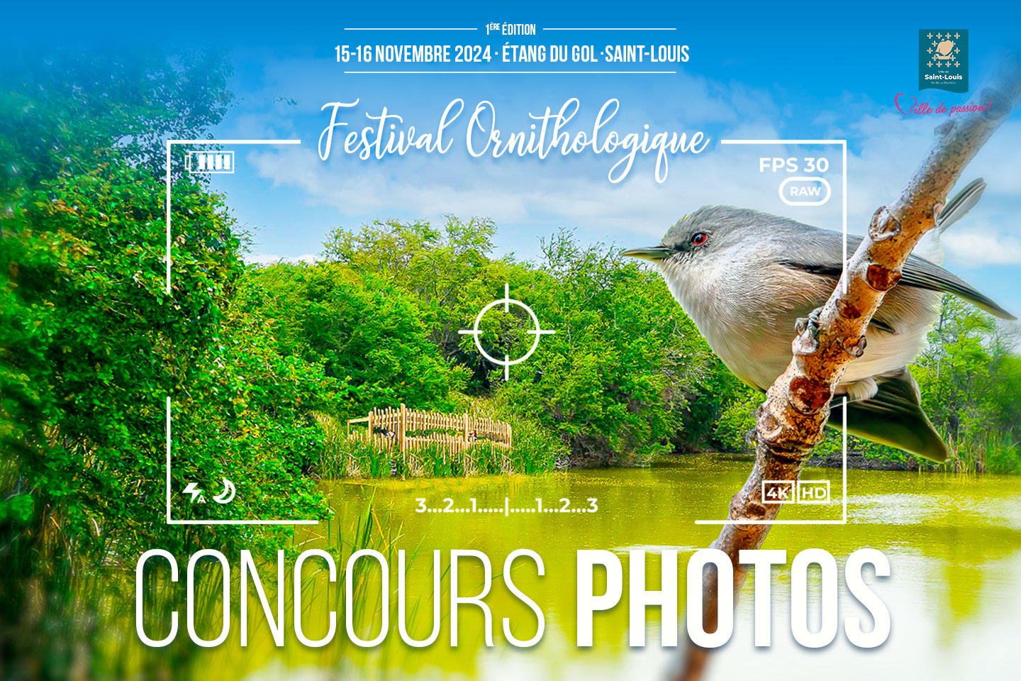 Festival ornithologique de Saint-Louis : concours de photos