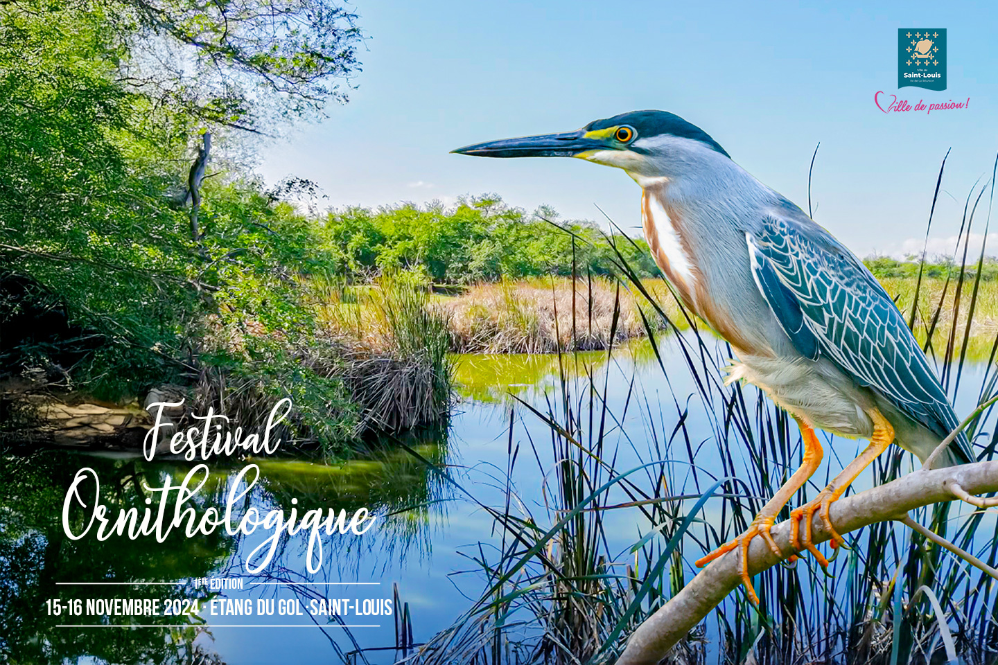 1er Festival ornithologique de l'Etang du Gol Saint-Louis