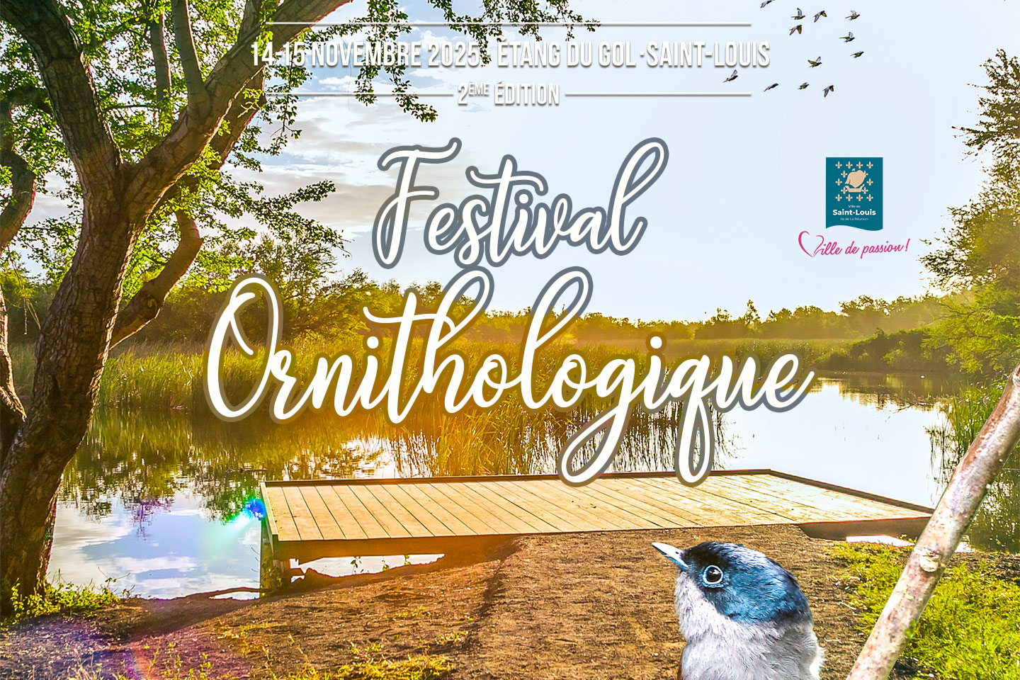 L'image montre un ponton près d'un arbre devant un étang.