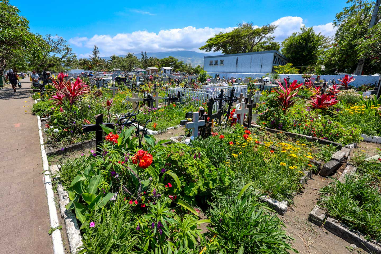 L'image montre un cimetière fleuri.